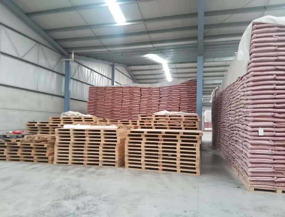 Nave Industrial en San Jose 101, Zona Industrial AUDI, San José Chiapa, Puebla, C.P. 75012 - Imagen 3