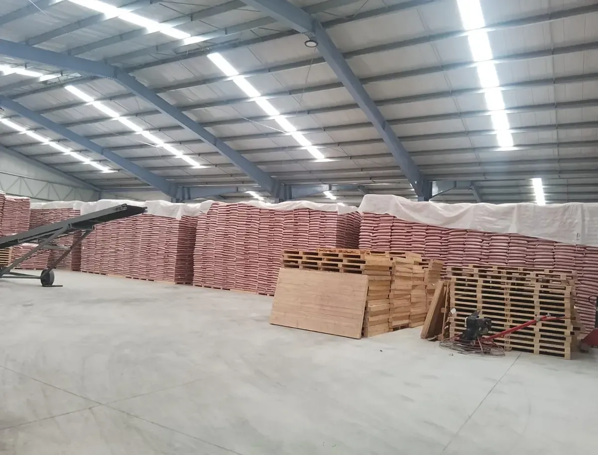 Nave Industrial en San Jose 101, Zona Industrial AUDI, San José Chiapa, Puebla, C.P. 75012 - Imagen 1